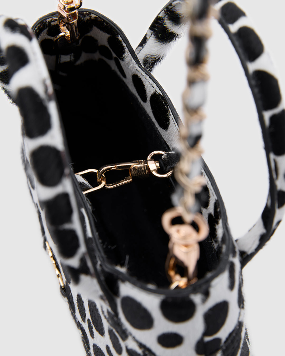 Luna Dalmatian (Limited Edition)